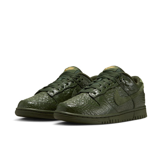 Nike Dunk Low HV4388-300